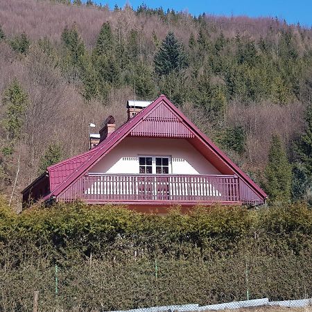 Zabnica Domek Nad Rzeczkaヴィラ エクステリア 写真